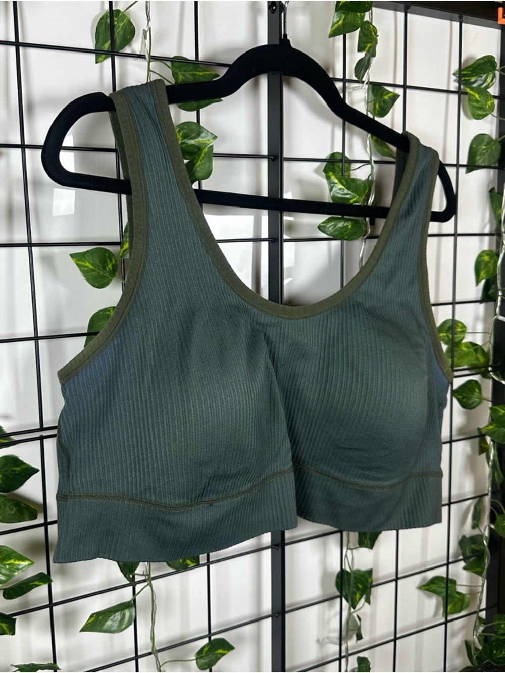 Torrid Curve Pale Green Lightly Lined Seamless Padded Sports Bra Size 4X